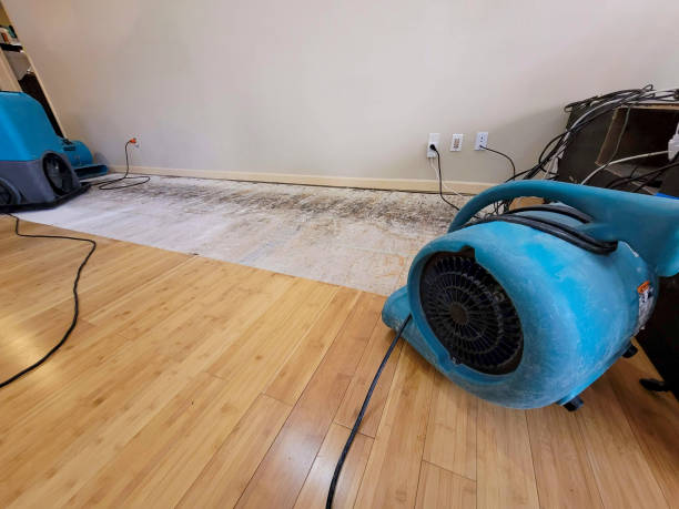 Professional Basement Flood Cleanup technician working in Fairfax, CA